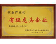 農(nóng)業(yè)產(chǎn)業(yè)化省級(jí)龍頭企業(yè)